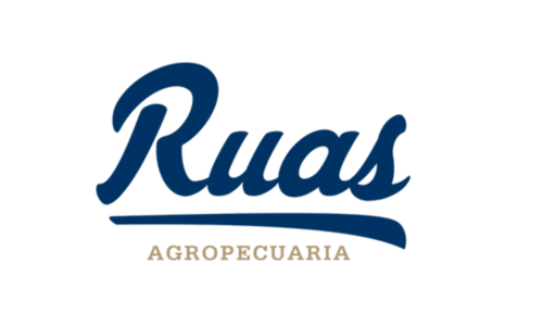 Ruas